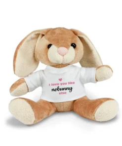 Bamse - Kanin med t-skjorte